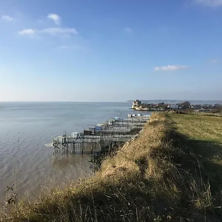 Des Noisettes A La Porte De Saintes * Chermignac